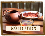 צמחי מרפא
