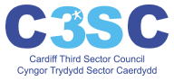 C3SC C3SC