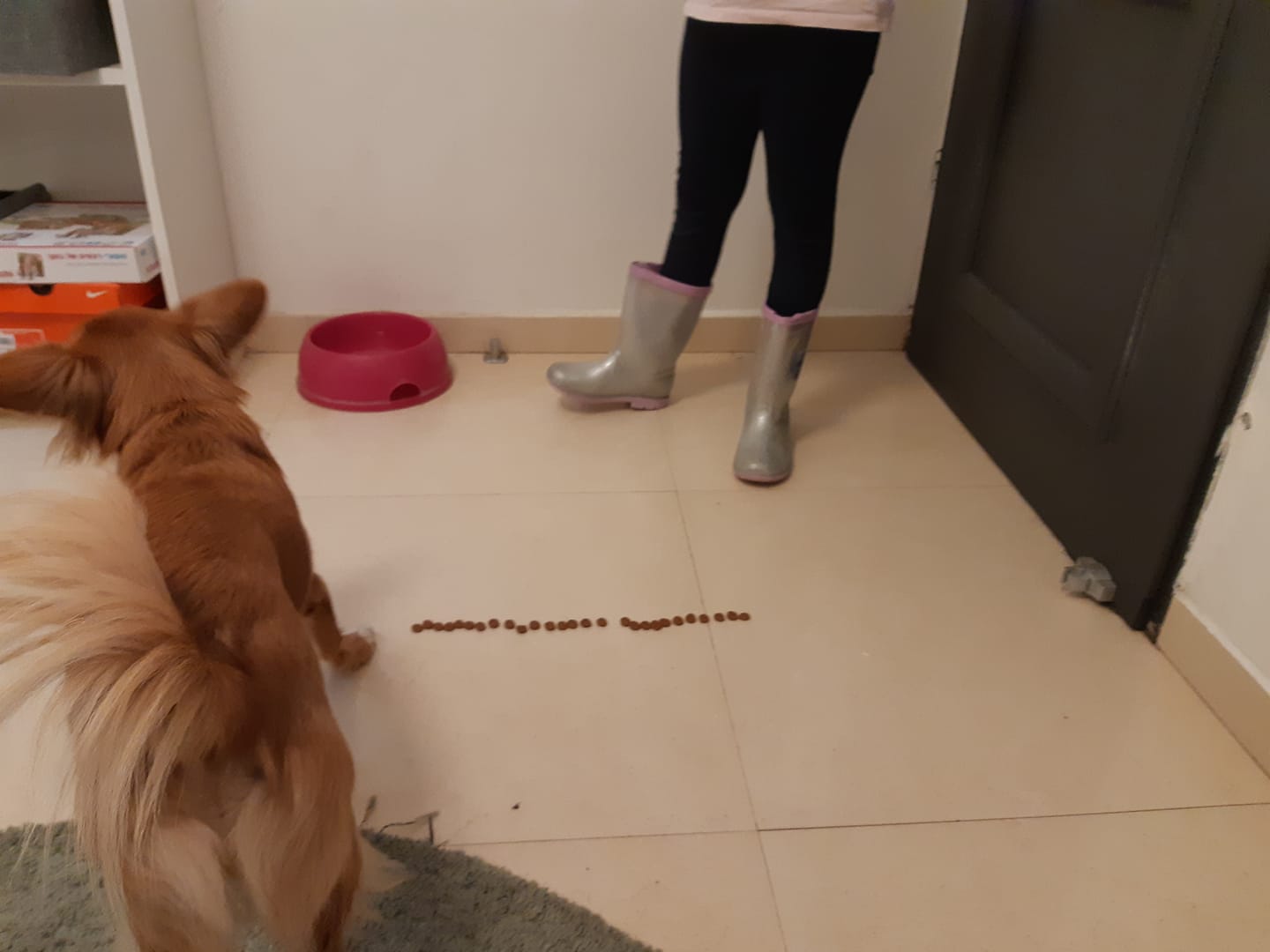 שביל האיפוק שהכינה עלמה למיני.jpg