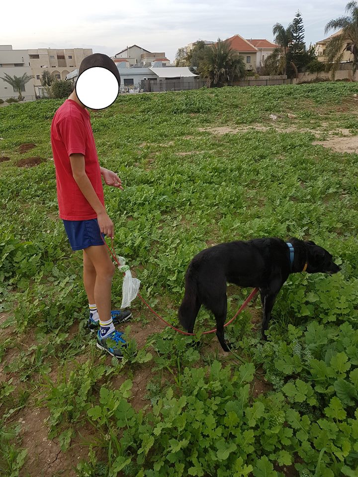 י
