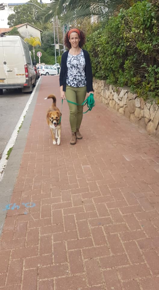 ג'ינג'ר הולכת יפה ברגלי.jpg