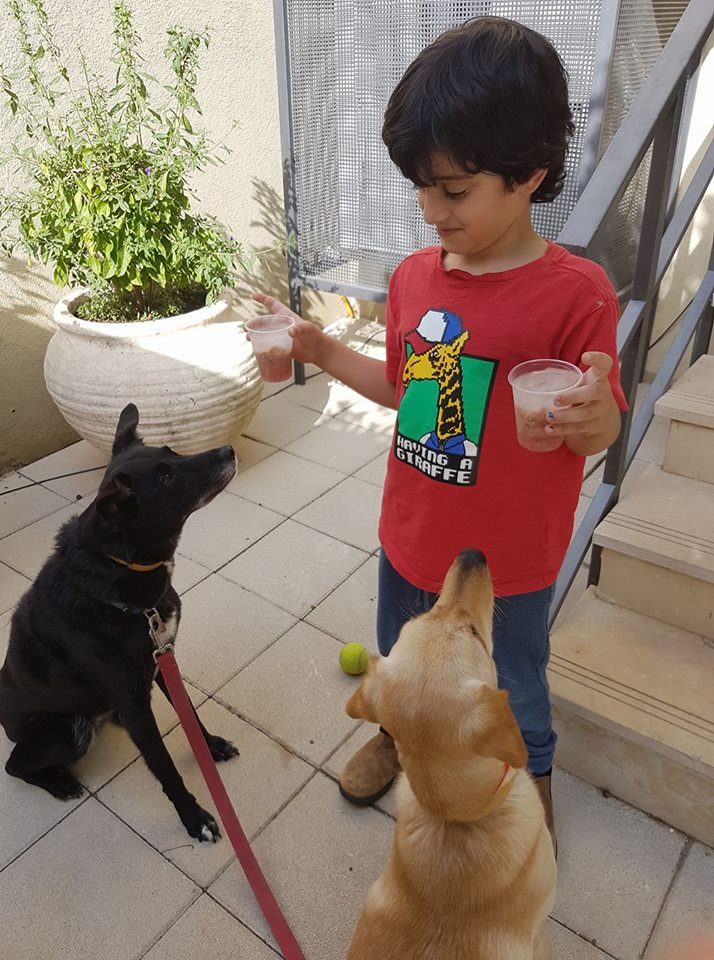 יובל נותן לכלבות ארטיק נקניקיות.jpg