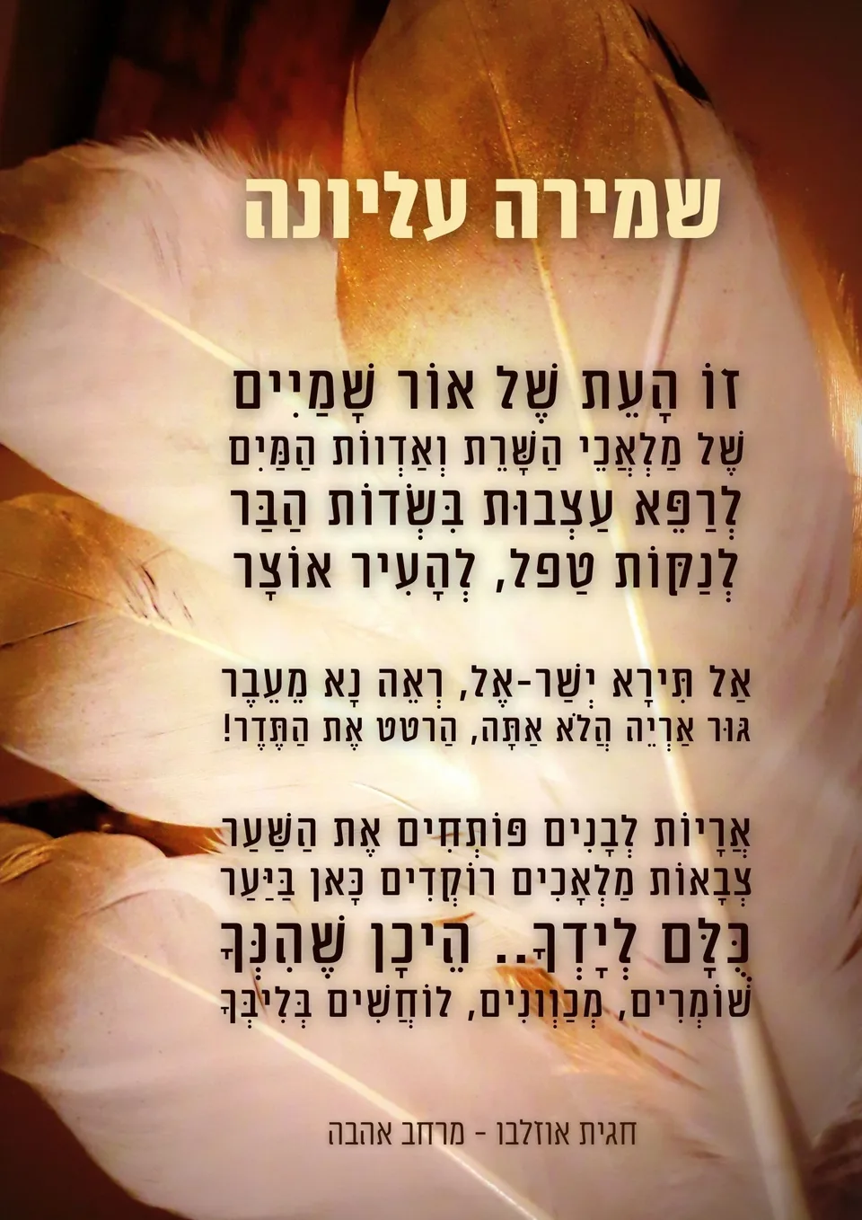 1מסר מערכת הקלפים - אני פה קלף תפילה (מתוך 23)
