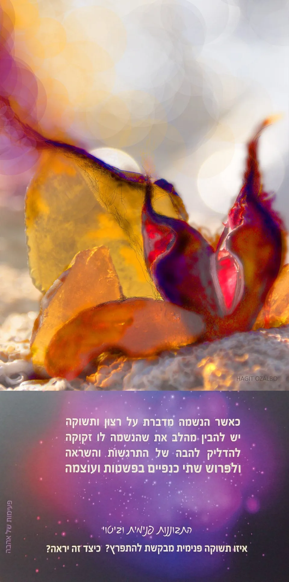 Slide title — תמונה 2