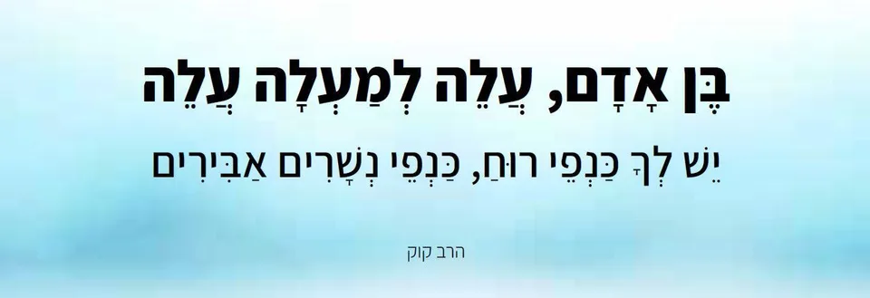 חגית אוזלבו - מרחב א.ה.ב.ה