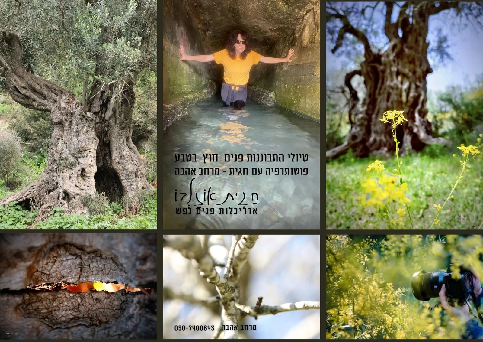 - פוטותרפיה בטבע כראי לנפש - — תמונה 1