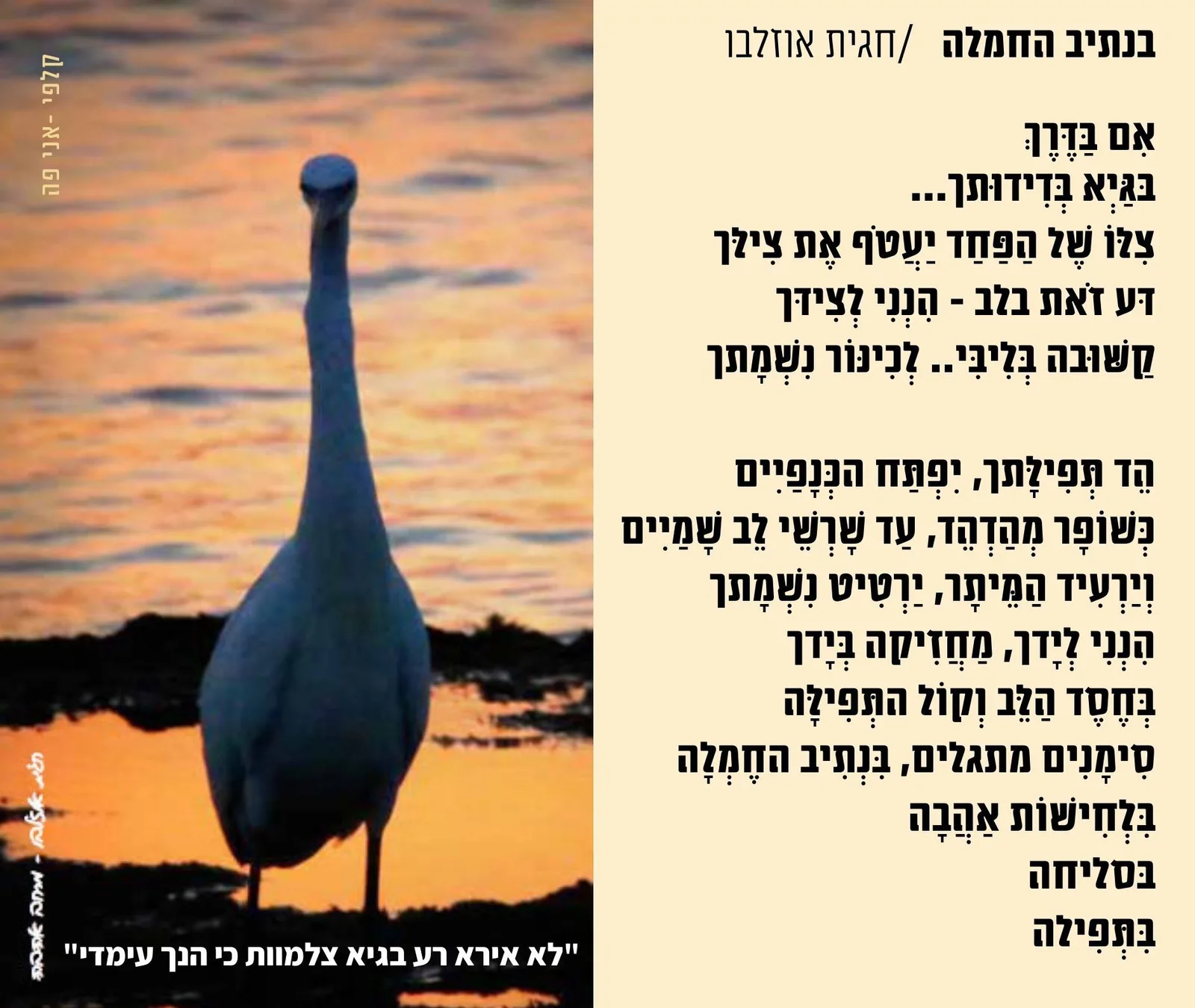 Slide title — תמונה 2