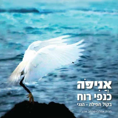 אני פה