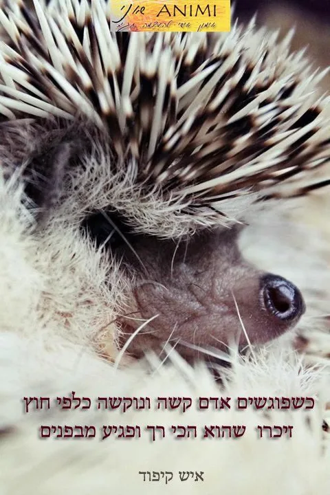 מעיל של פלדה
