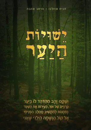 תפילות הלב