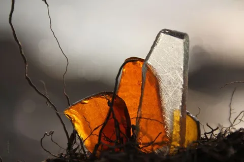 שברים של אור — תמונה 5