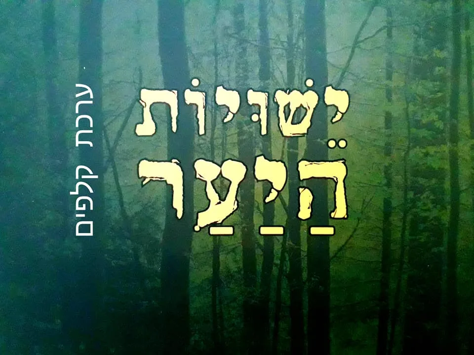 ערכת קלפי השראה מטבע הבריאה ישויות היער צילום וכתיבה - חגית אוזלבו - מרחב א.ה.ב.ה