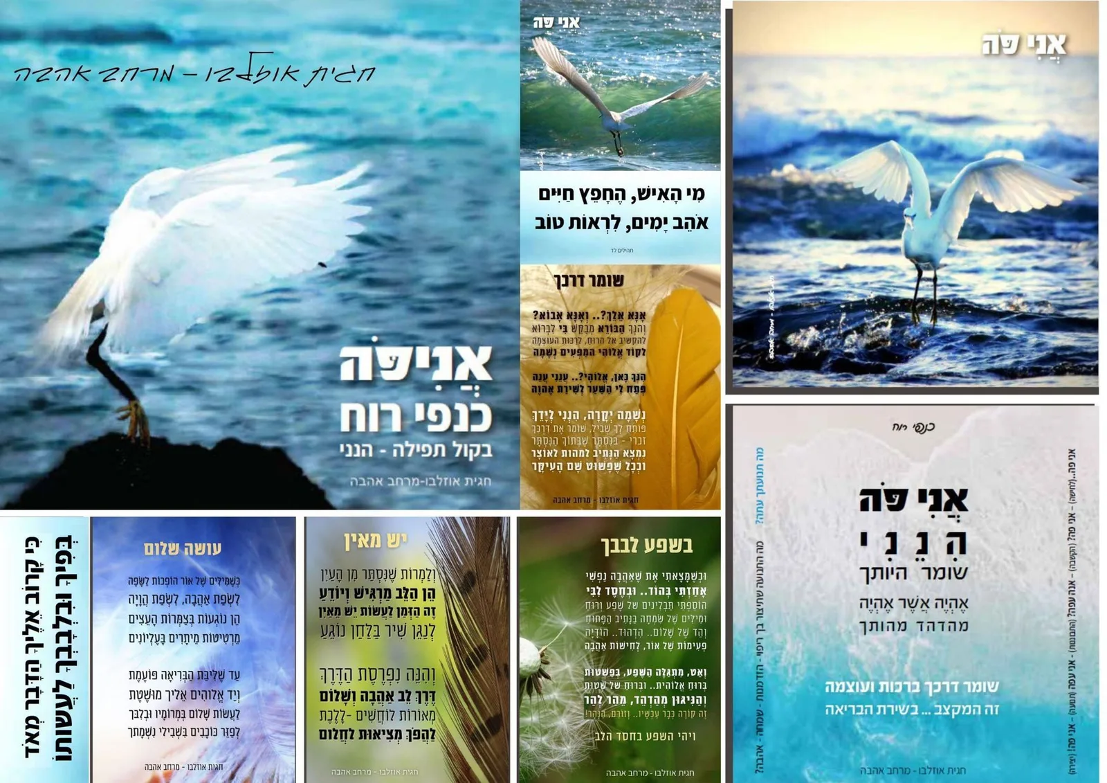 מה יש בערכה? — תמונה 3