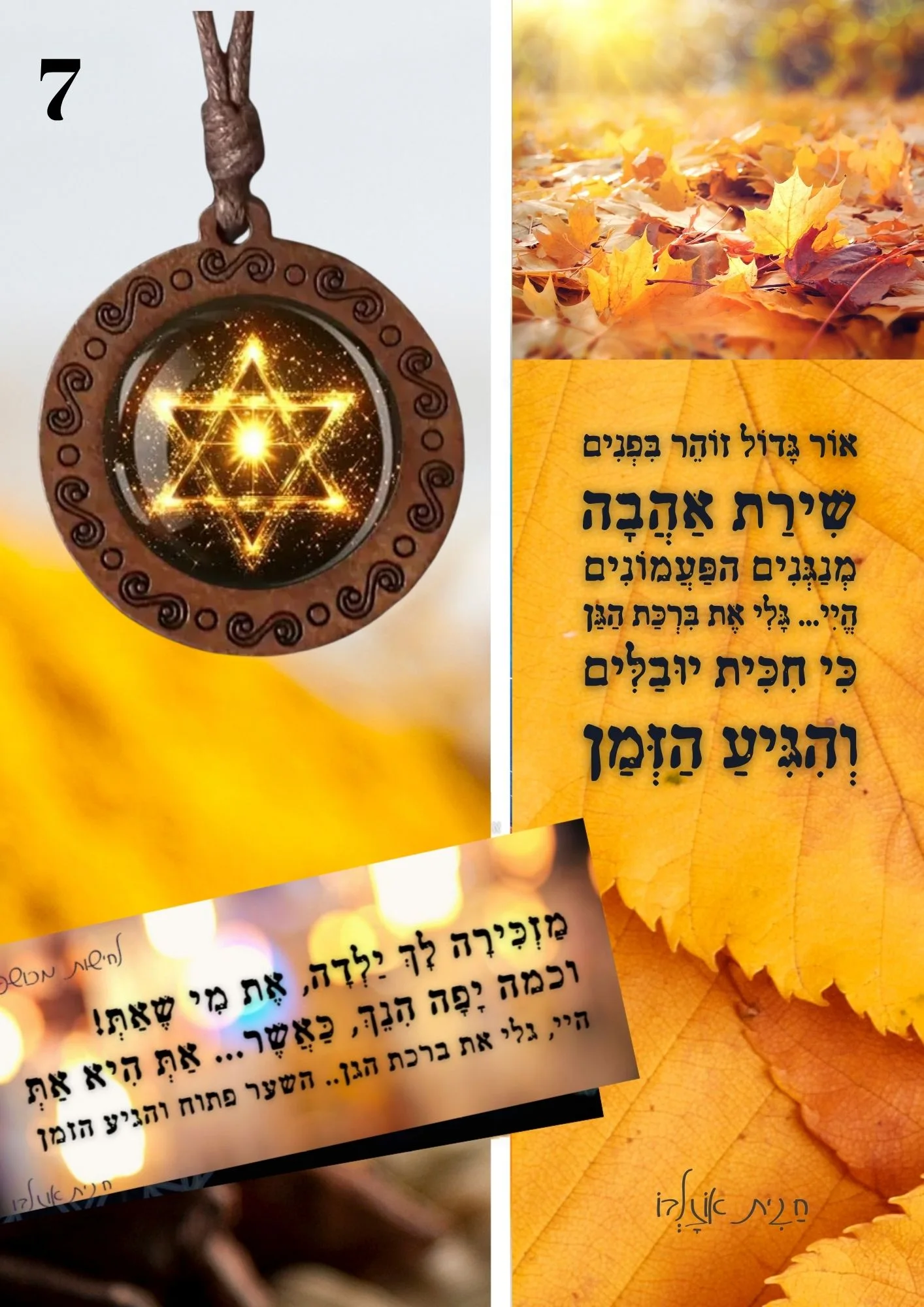 תכשיט 7