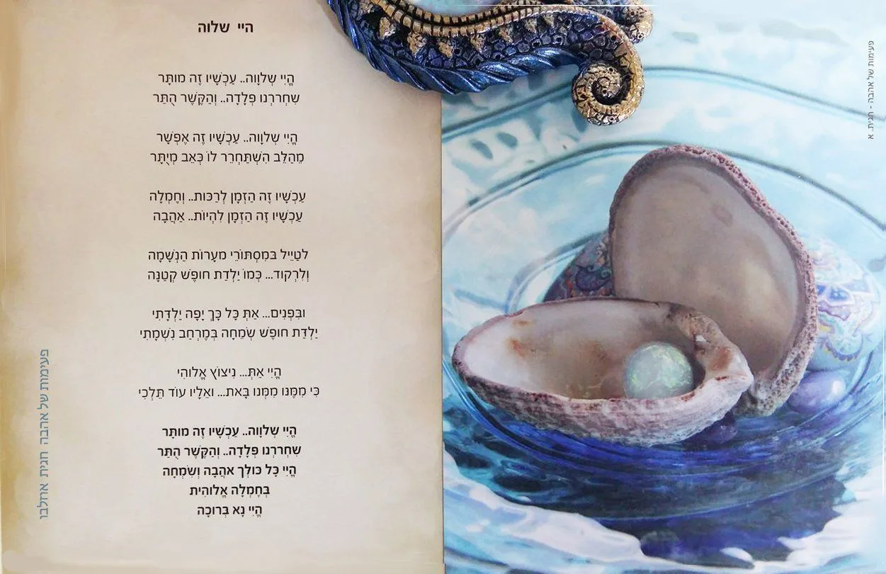 עוד תמונות — תמונה 5