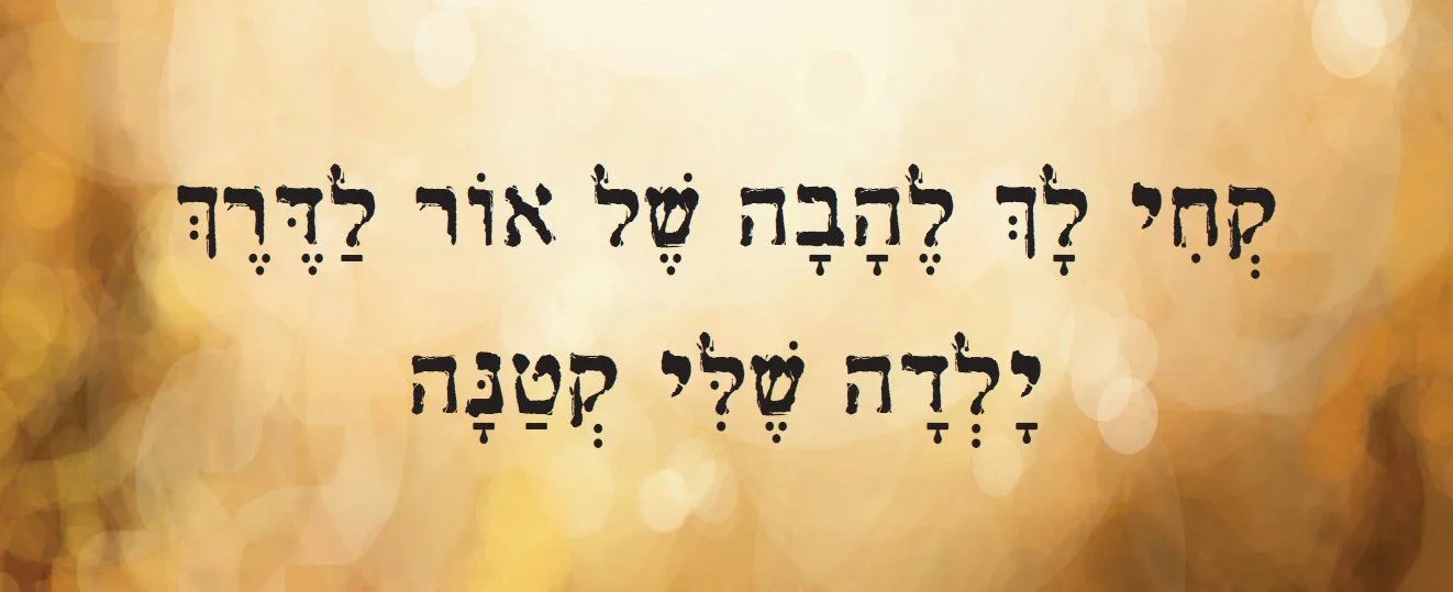 עוד תמונות — תמונה 4