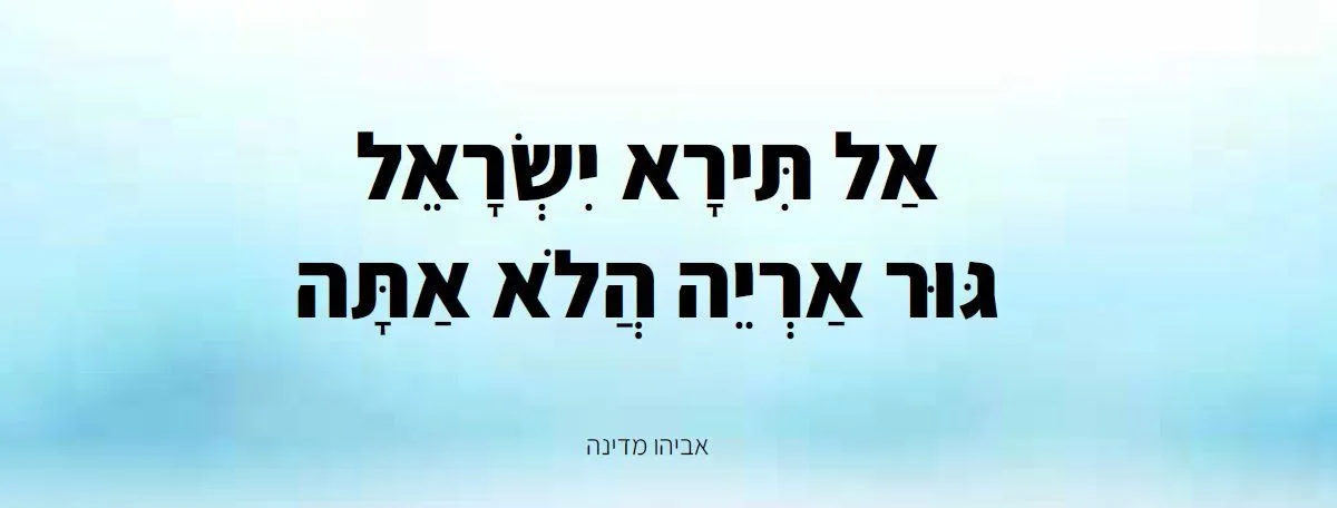 עוד תמונות — תמונה 4