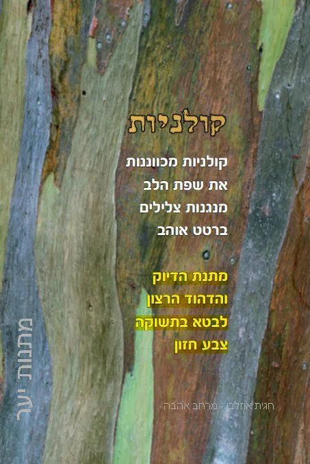 גלריית הפרויקט — תמונה 5