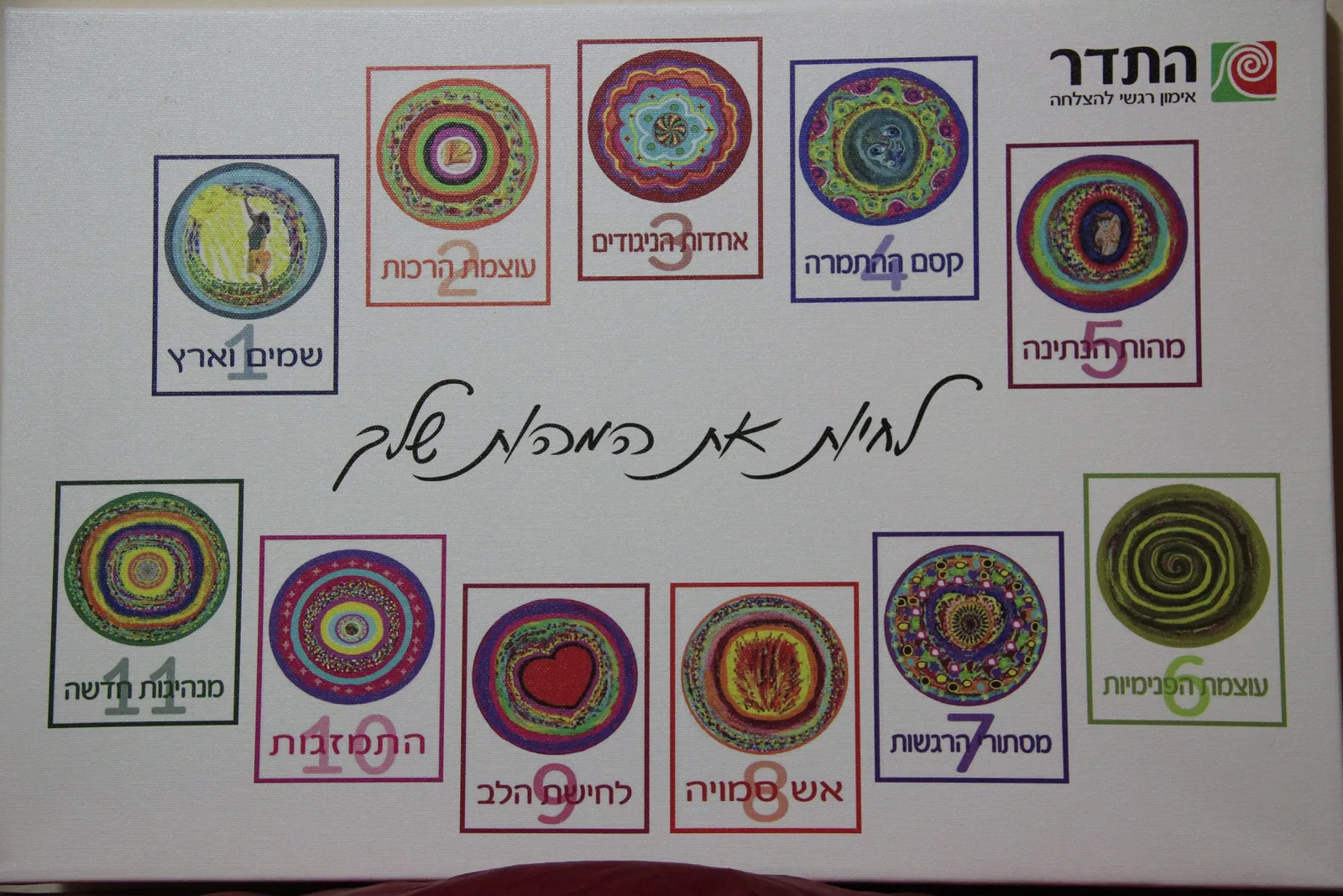 עוד תמונות — תמונה 2