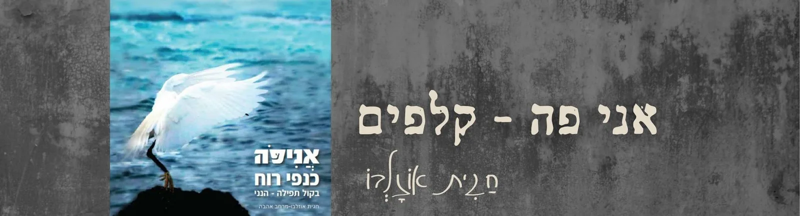 עוד תמונות