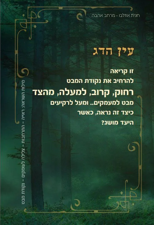 עוד תמונות — תמונה 6