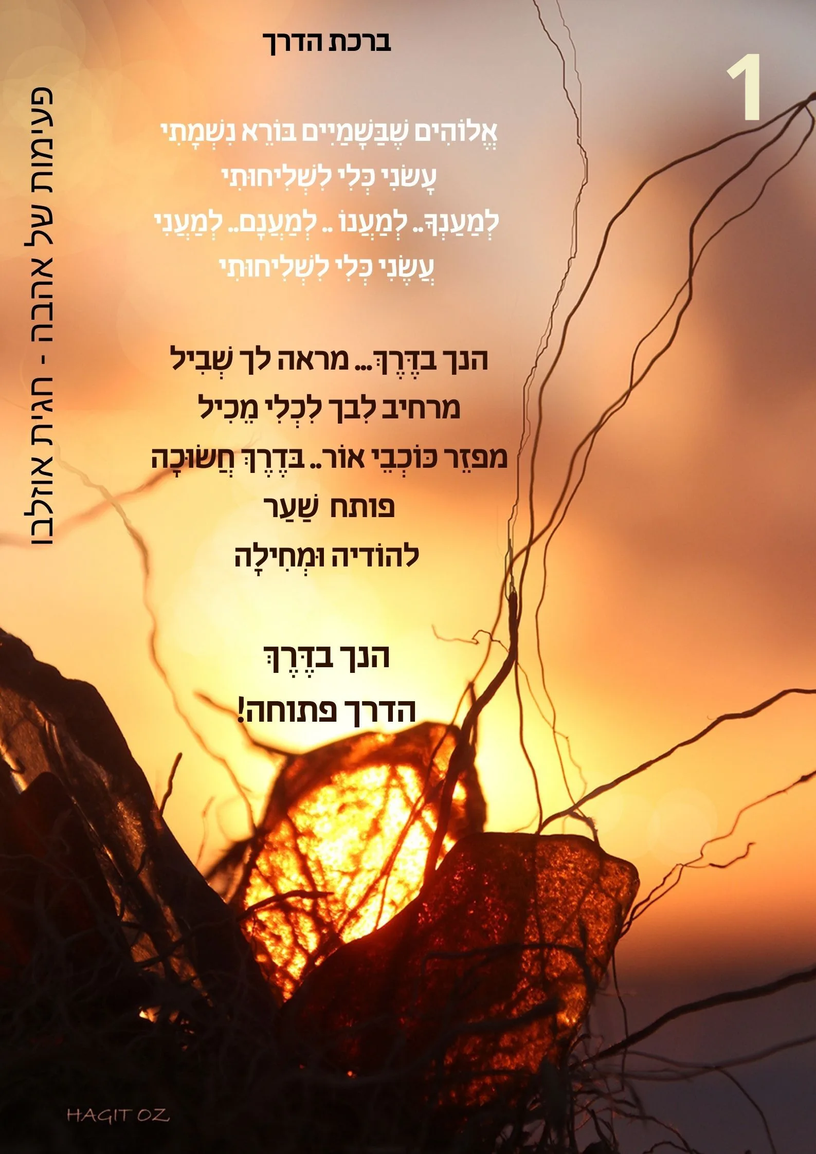עוד תמונות — תמונה 4