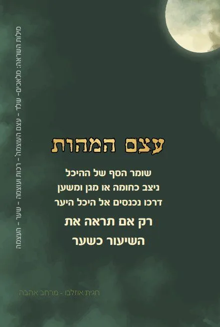 עוד תמונות — תמונה 4