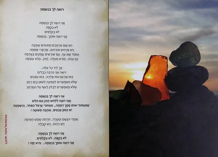עוד תמונות — תמונה 1