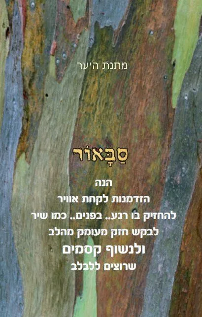 גלריית הפרויקט — תמונה 4