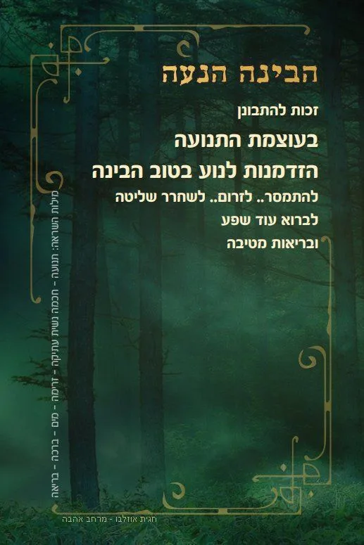 גלריית הפרויקט — תמונה 2
