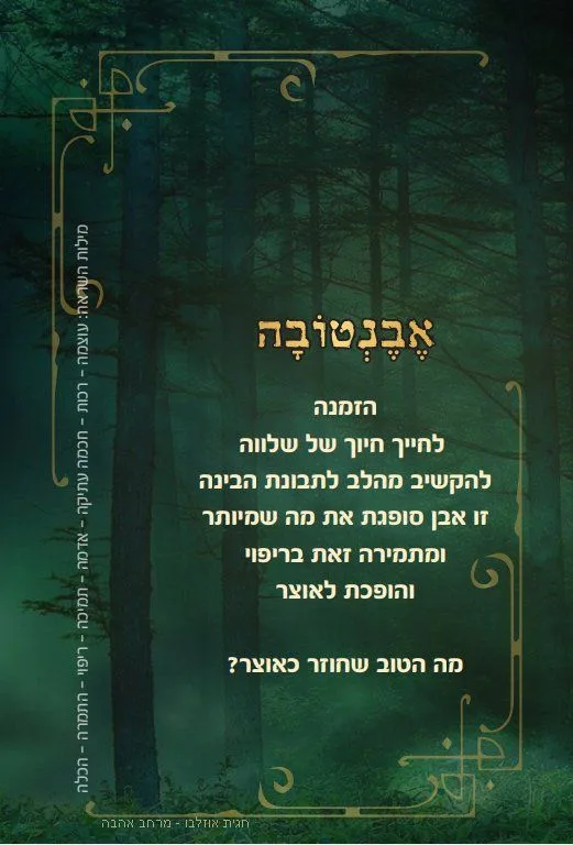 עוד תמונות — תמונה 3