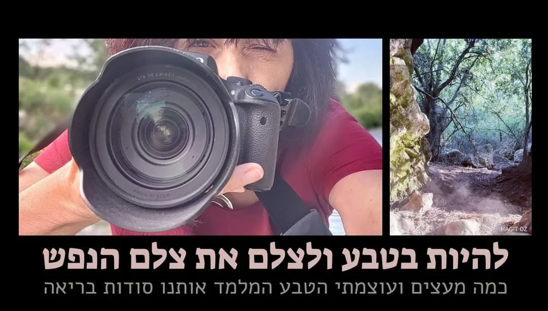 עוד תמונות — תמונה 3