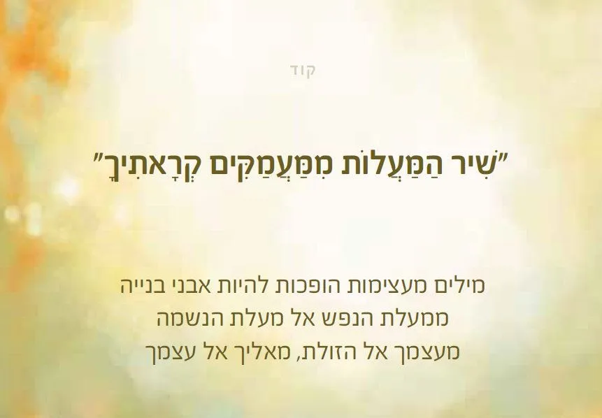 עוד תמונות — תמונה 2