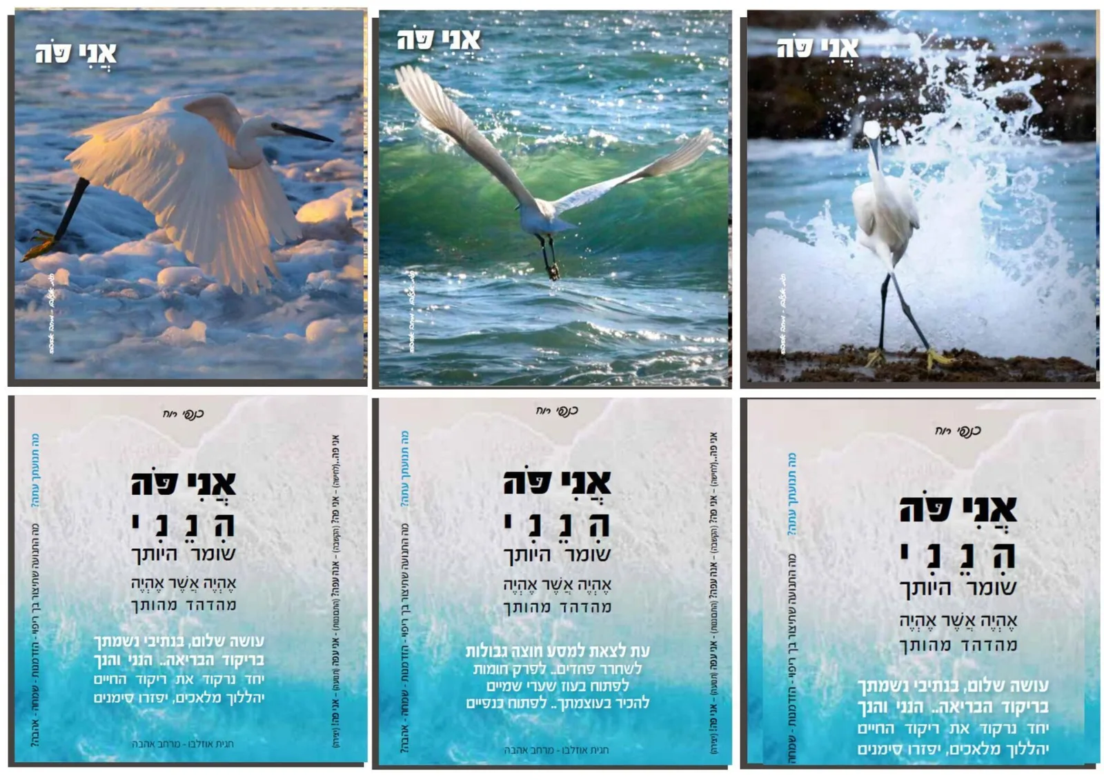 עוד תמונות — תמונה 1