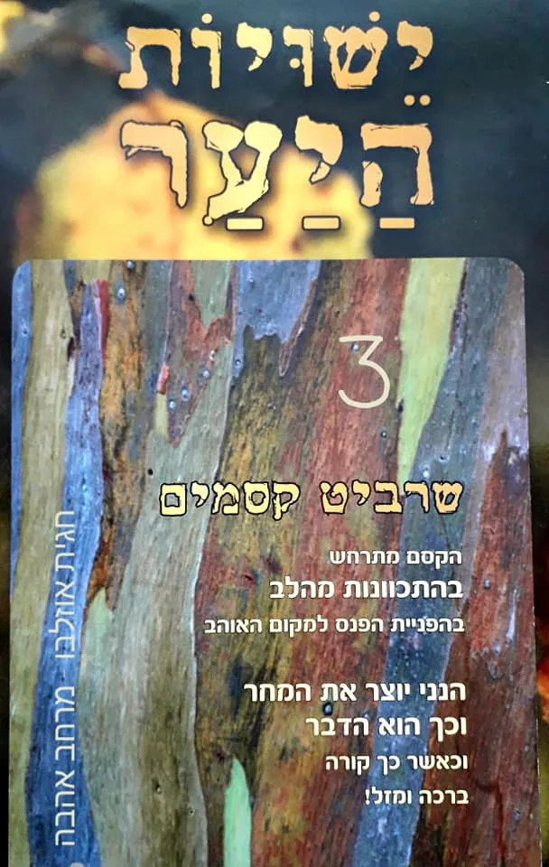 עוד תמונות — תמונה 4