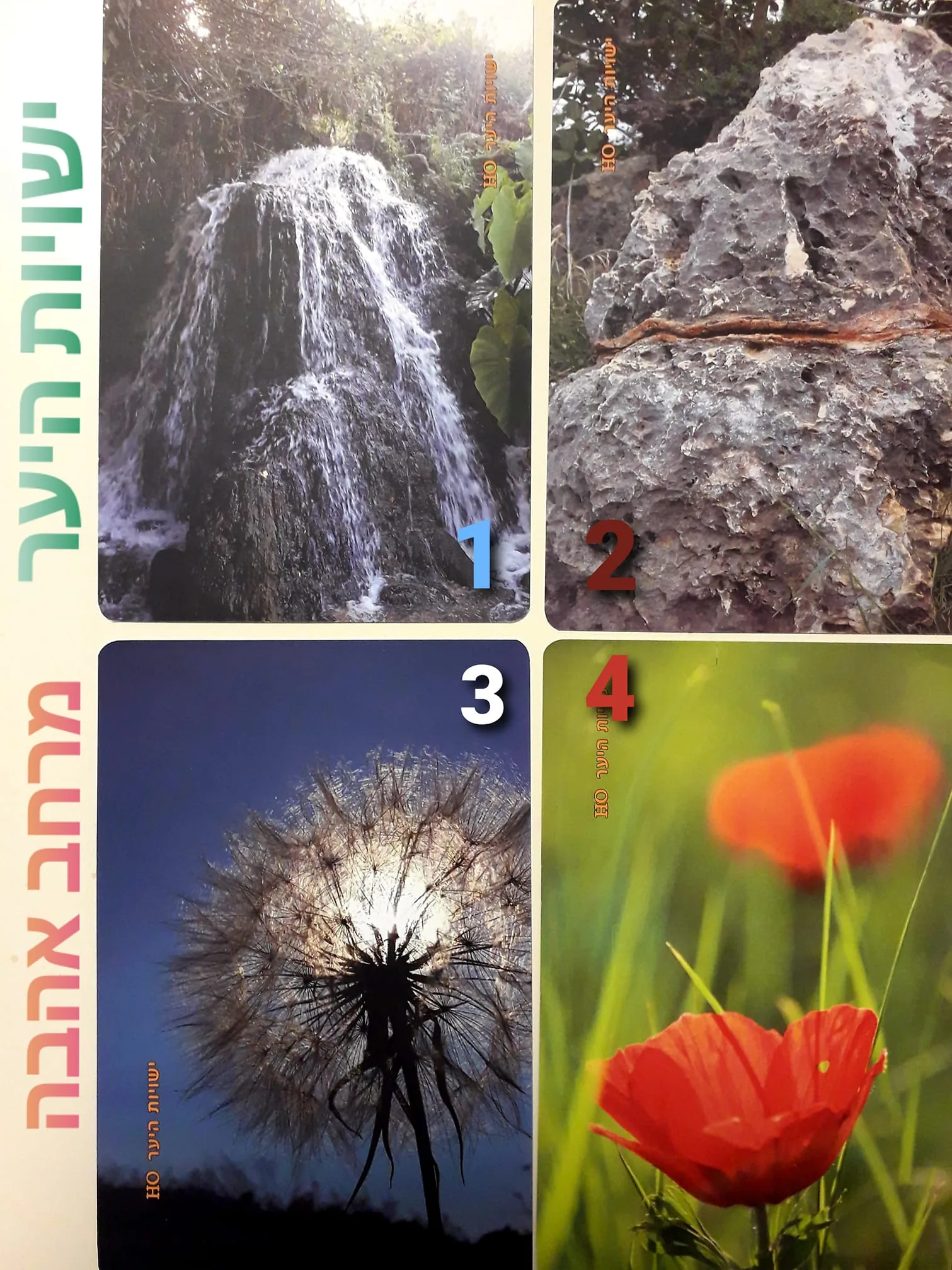 גלריית הפרויקט — תמונה 1