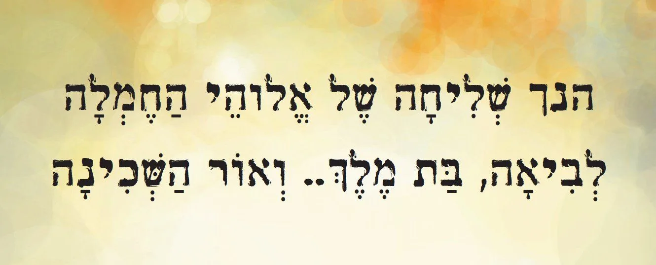 עוד תמונות — תמונה 6