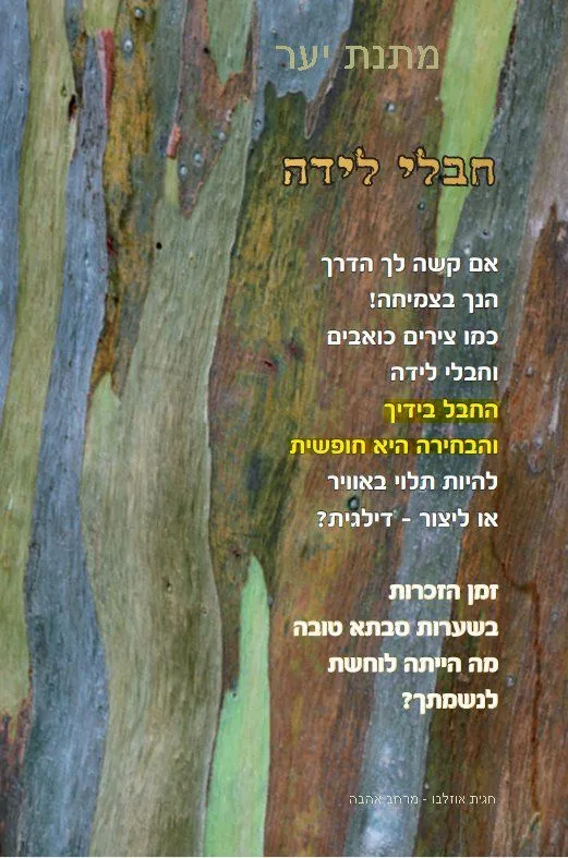 עוד תמונות — תמונה 5