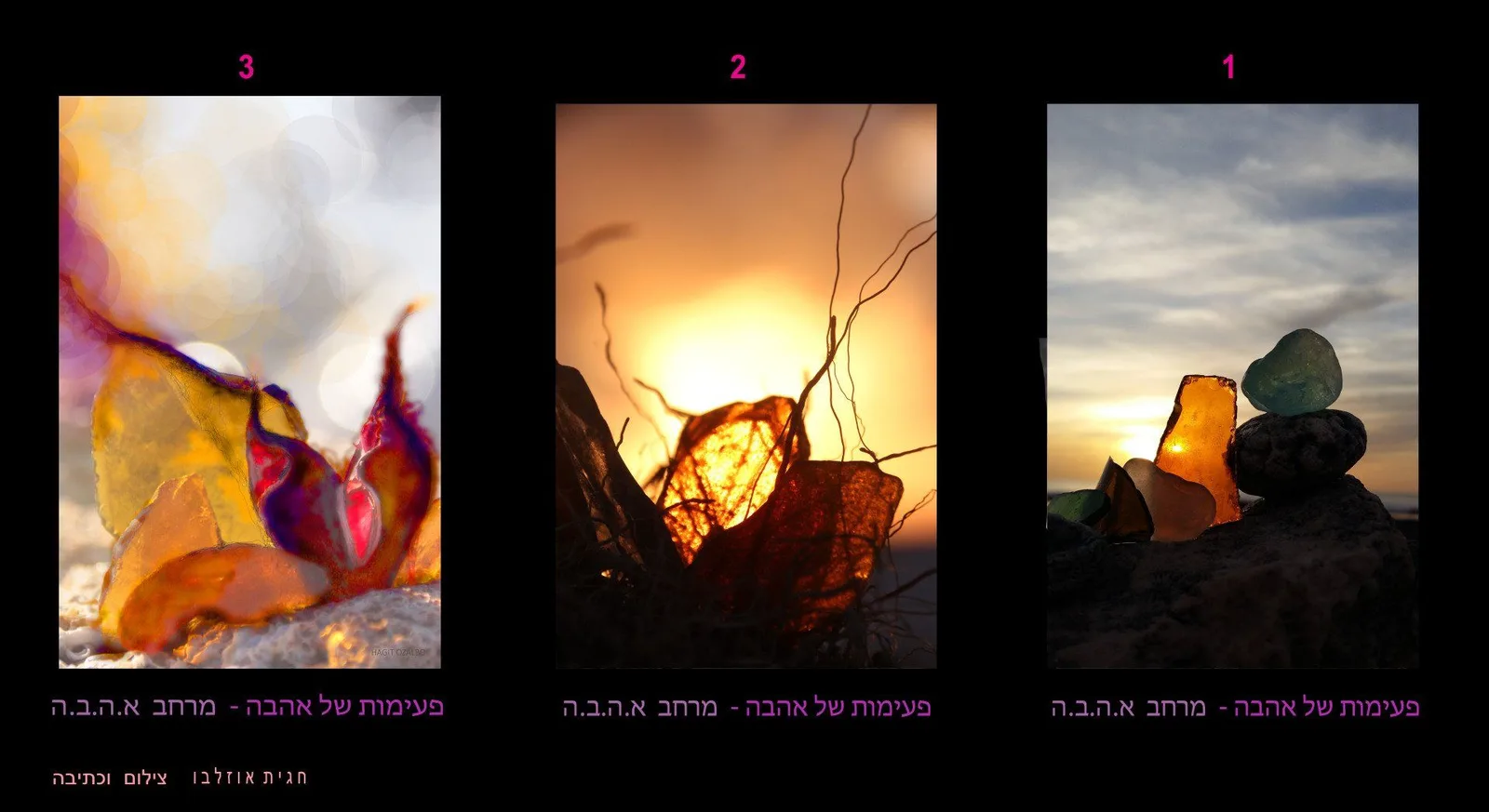 עוד תמונות — תמונה 1