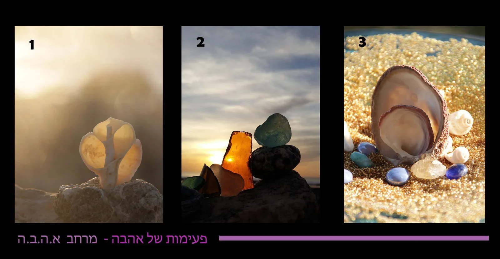 עוד תמונות — תמונה 1