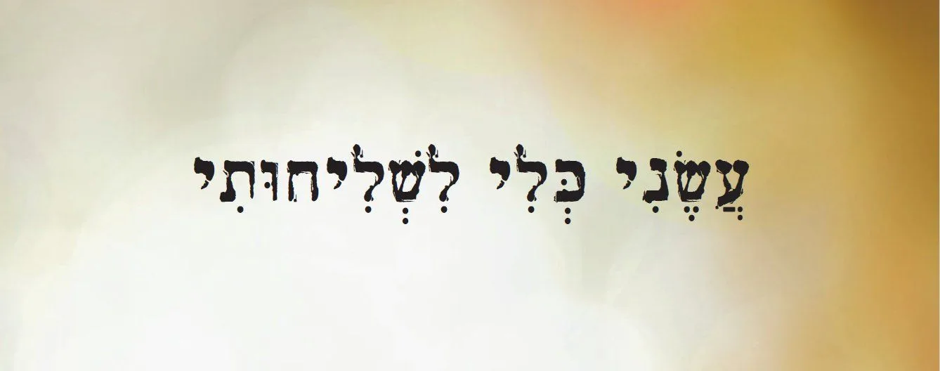 עוד תמונות — תמונה 5