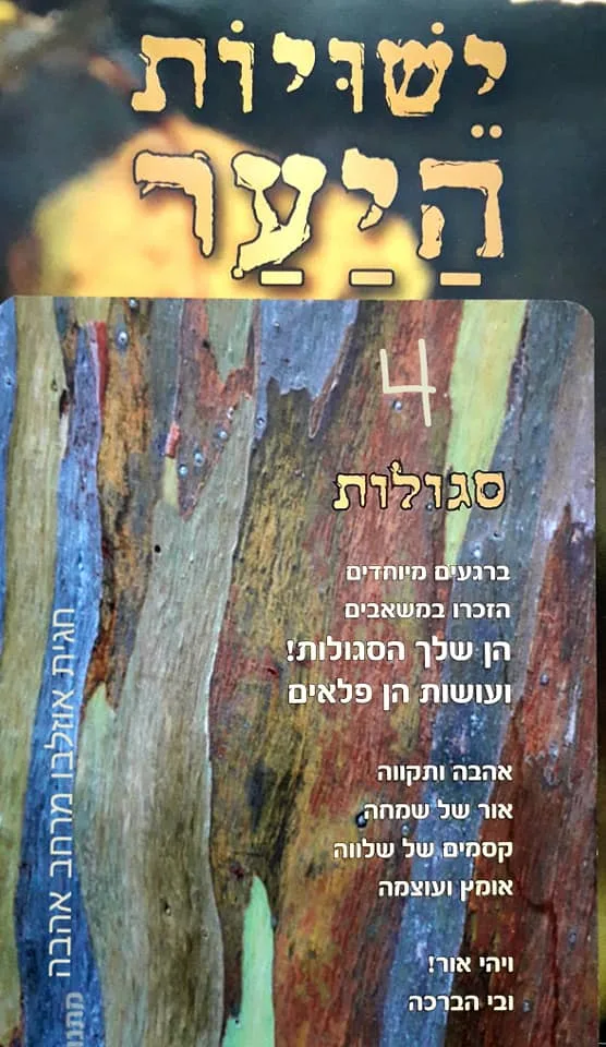 עוד תמונות — תמונה 5