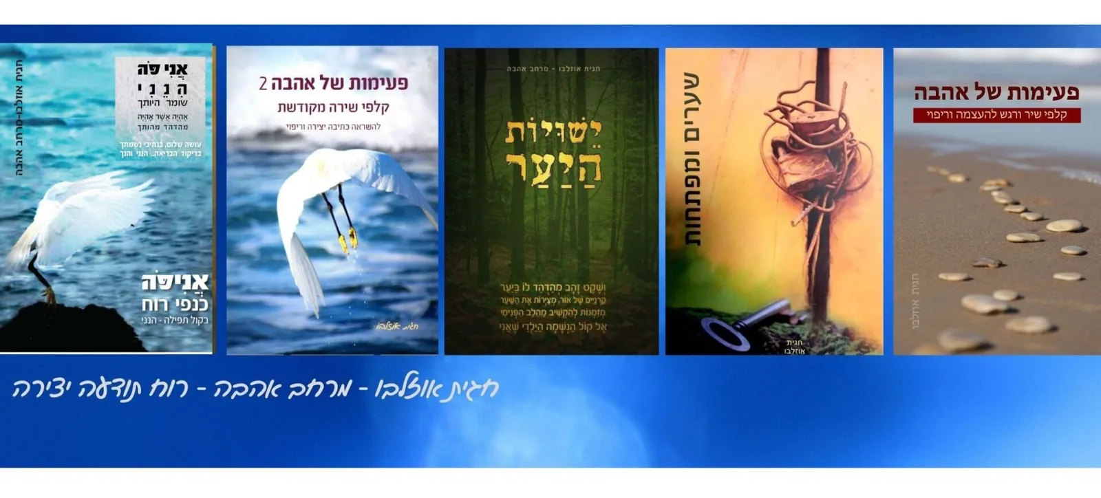 עוד תמונות — תמונה 1