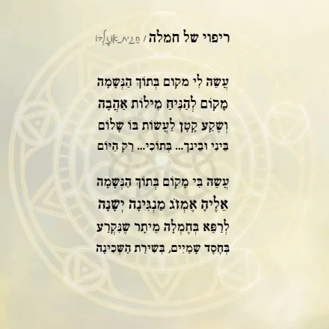 עוד תמונות — תמונה 2