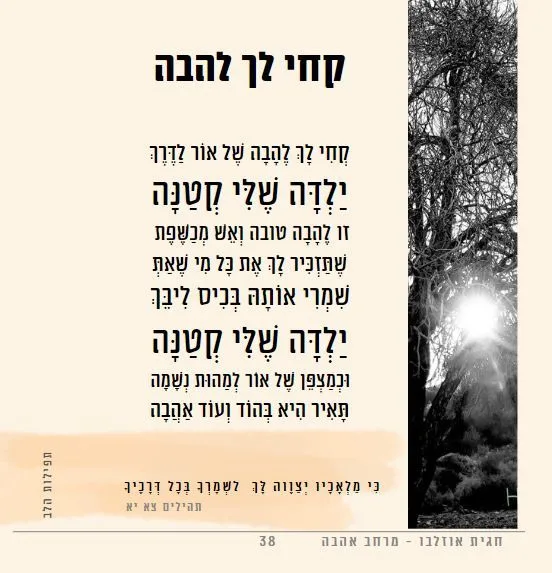 עוד תמונות — תמונה 2