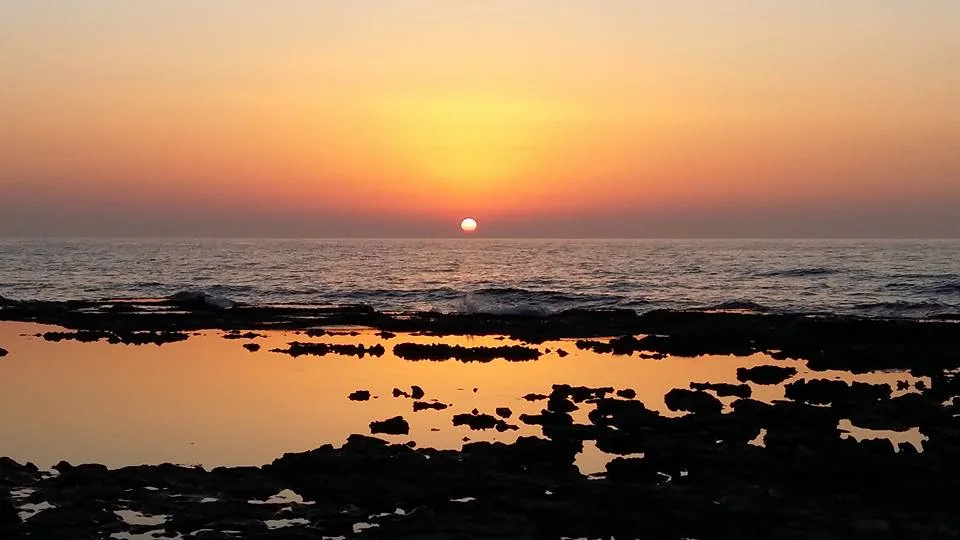 עוד תמונות — תמונה 2
