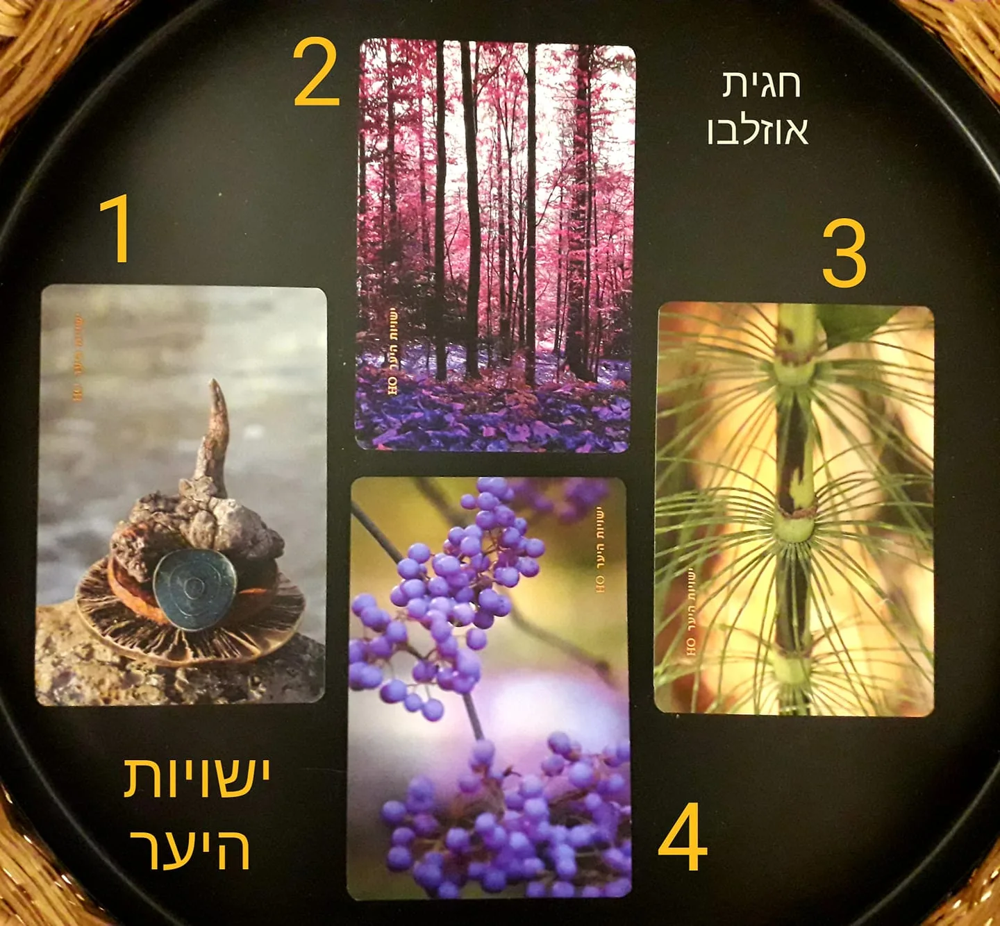 עוד תמונות — תמונה 1