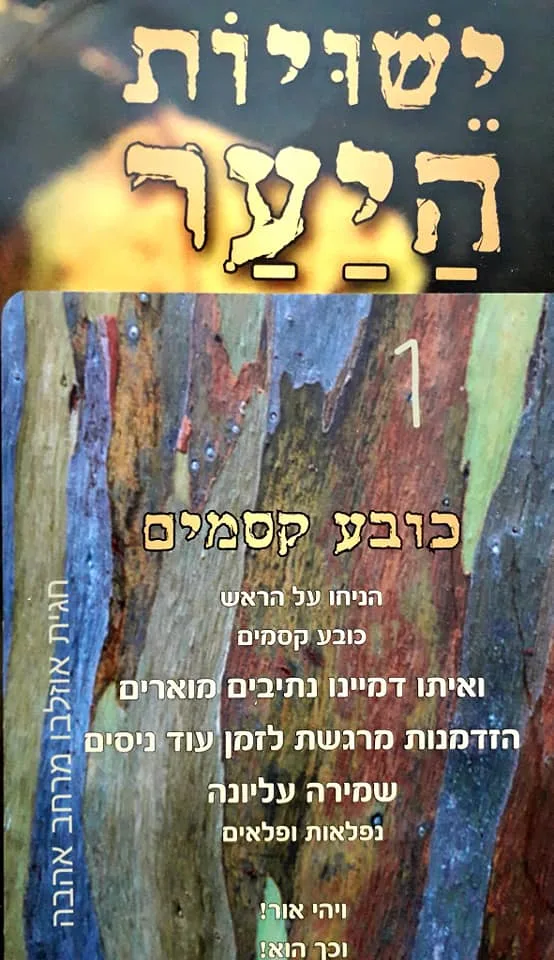 עוד תמונות — תמונה 2