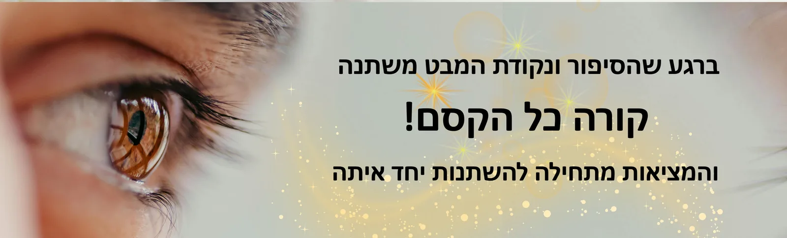 עוד תמונות — תמונה 4