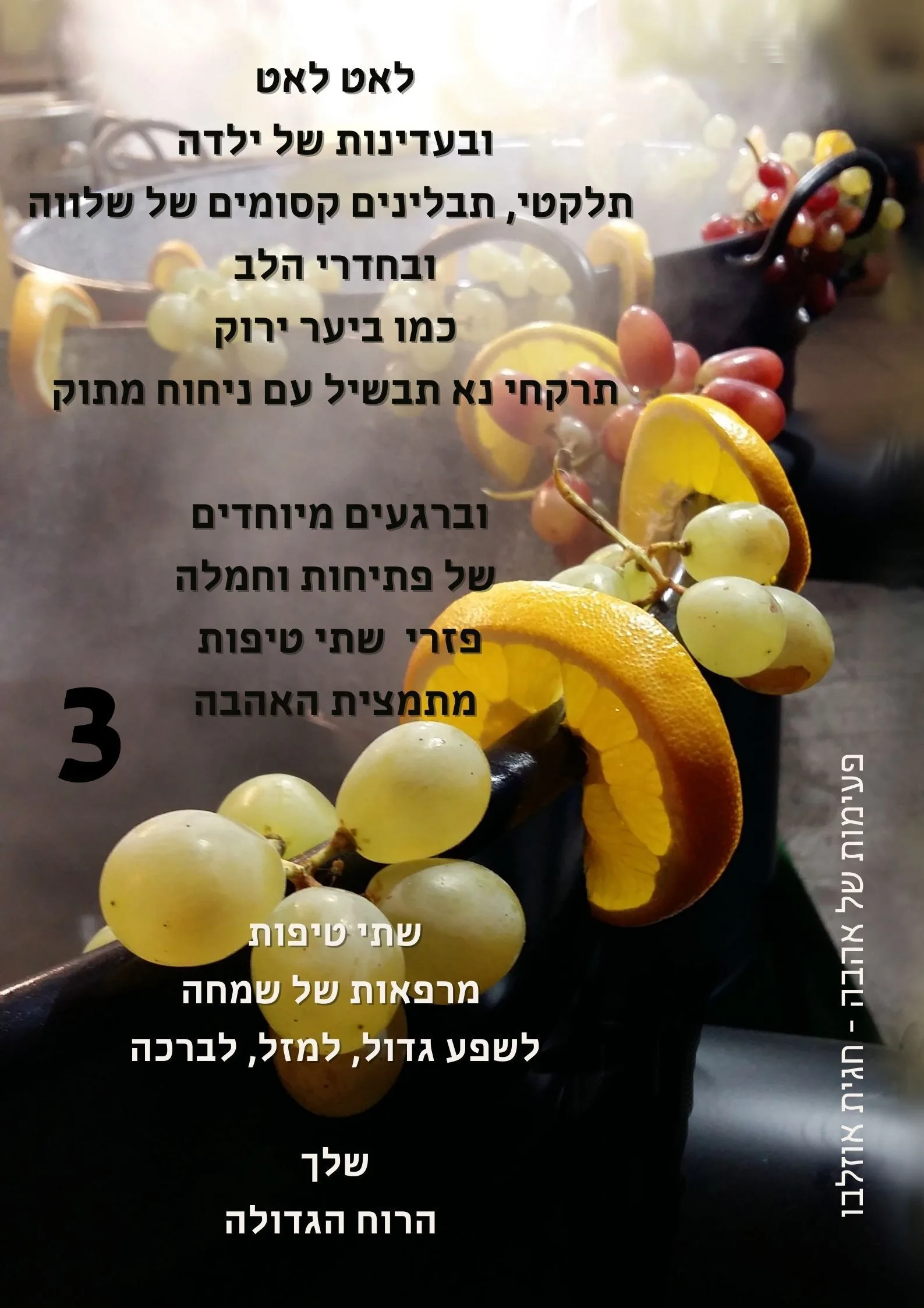עוד תמונות — תמונה 2